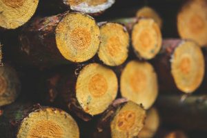 denver tree service firewood