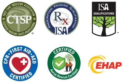 Safety & Certifications | Certified & Insured Denver Arborists
